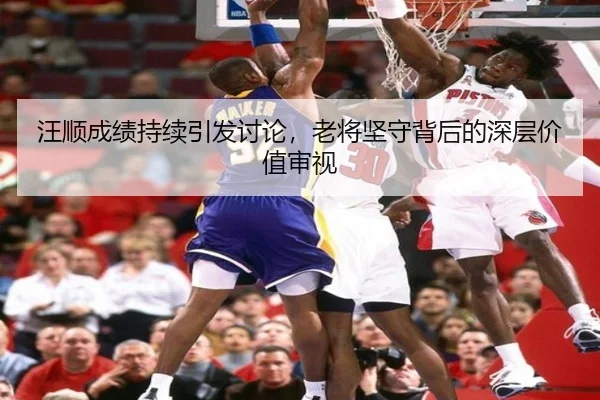 汪顺成绩持续引发讨论，老将坚守背后的深层价值审视